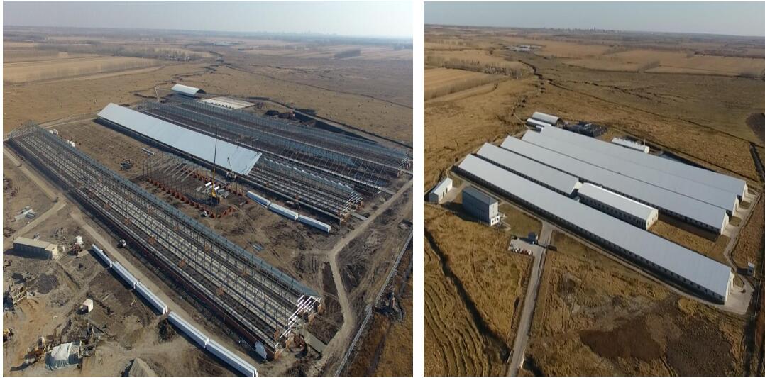 首页|7790必发集团中国官方网站